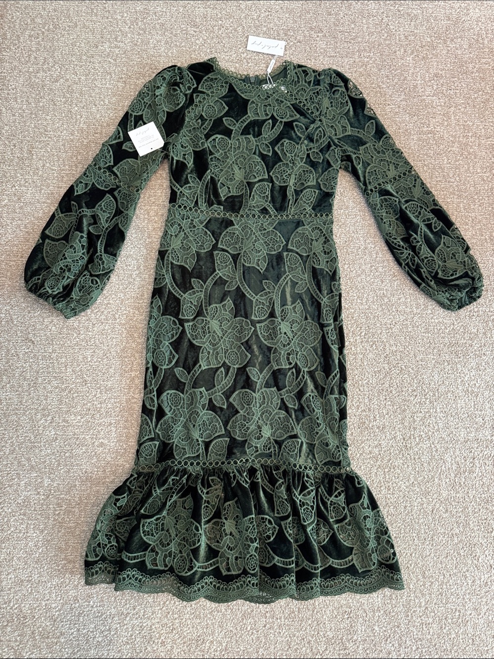 Petal & Pup Olive Green Lace Floral Long Sleeve Dress